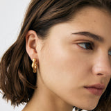 010IS356-8801 Gold / Free