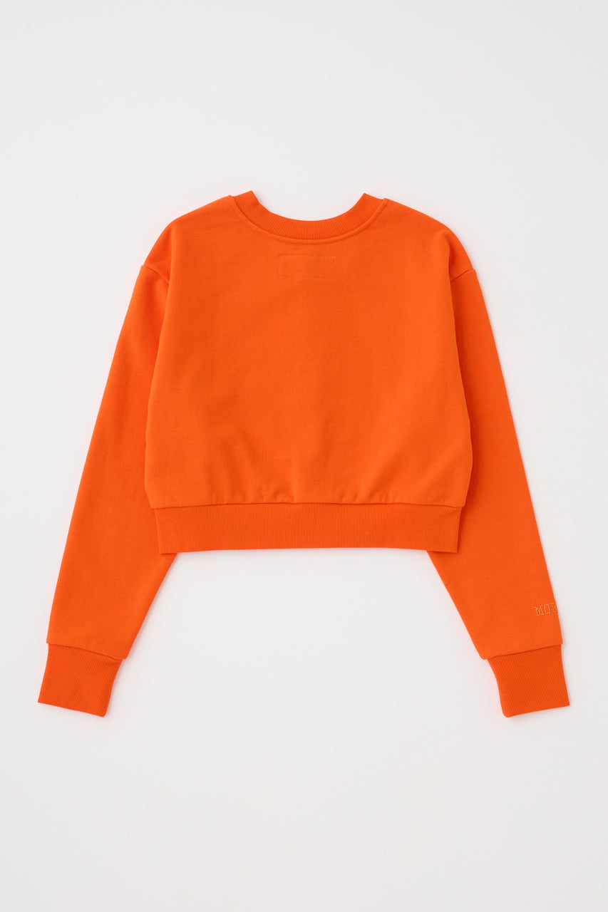 010IS801-0831 Orange / Free