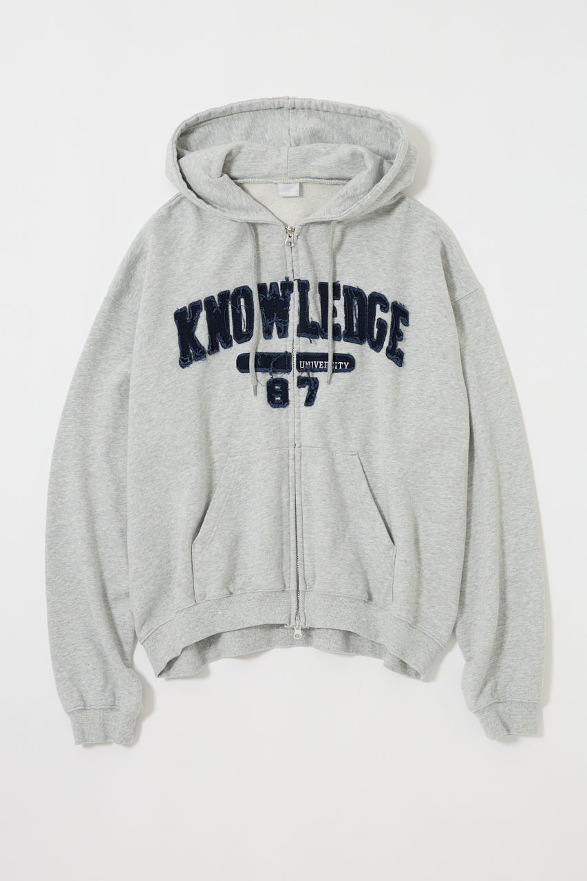 COLLEGIATE ZIP HOODIE Heather Gray / Free