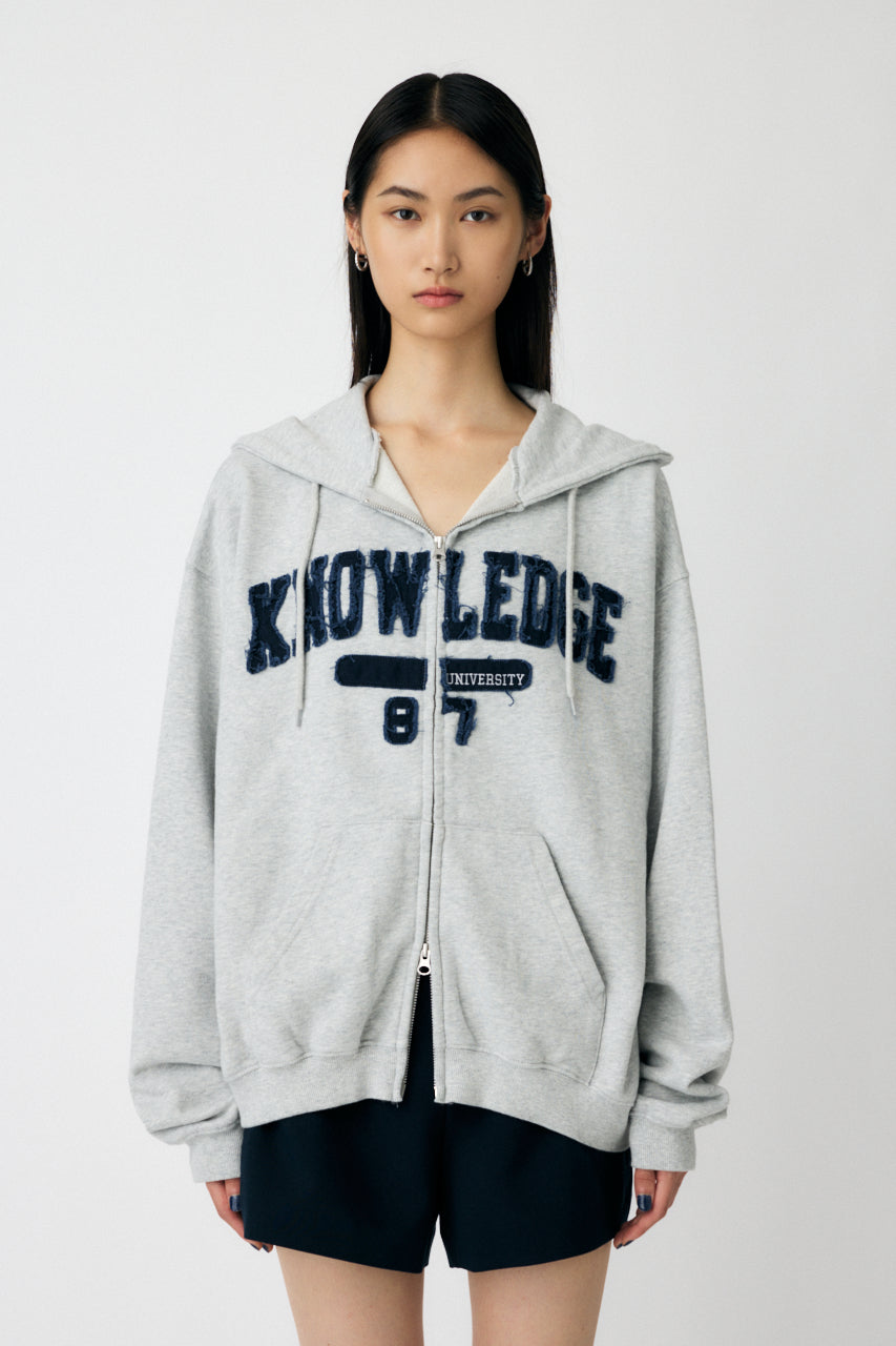 COLLEGIATE ZIP HOODIE Heather Gray / Free