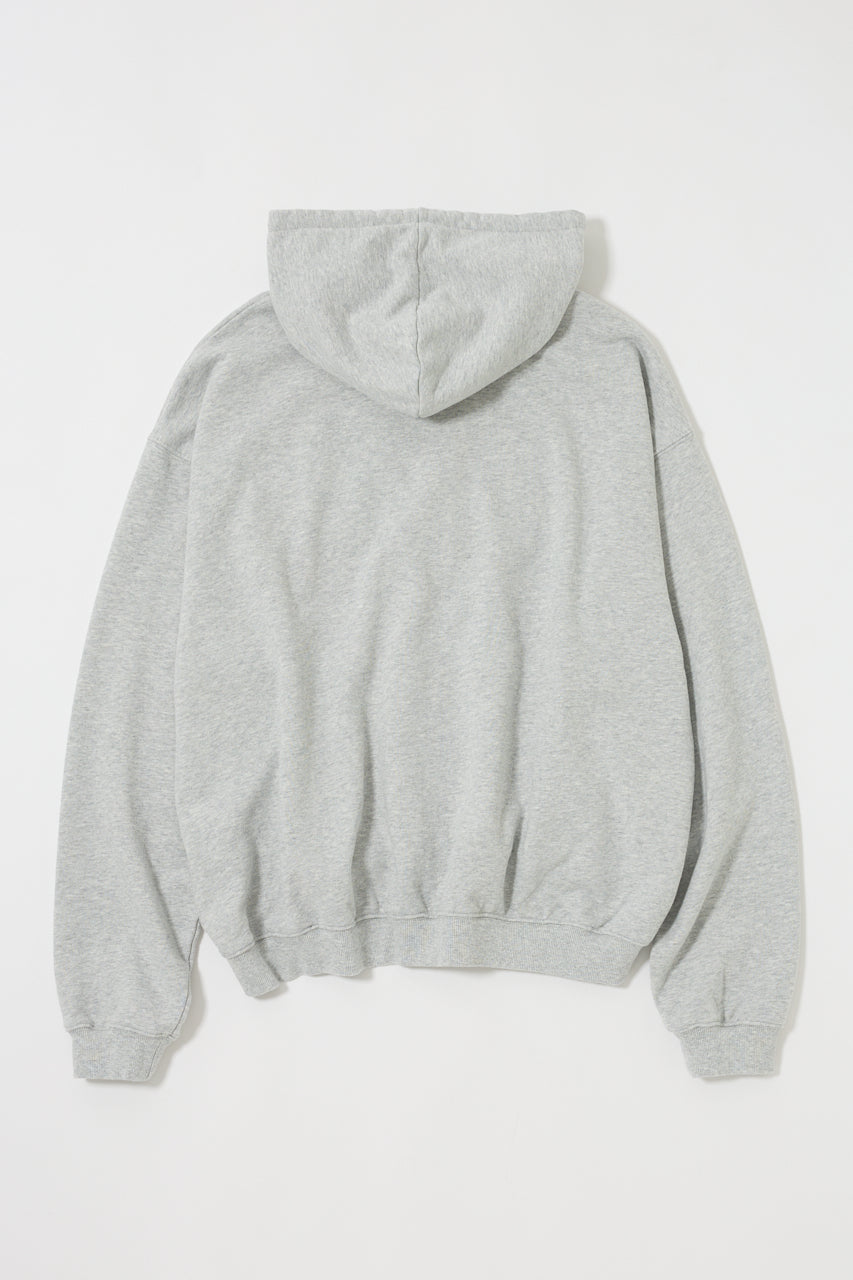 COLLEGIATE ZIP HOODIE Heather Gray / Free