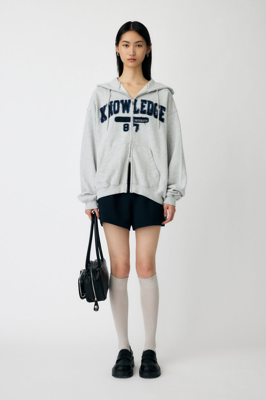 COLLEGIATE ZIP HOODIE Heather Gray / Free